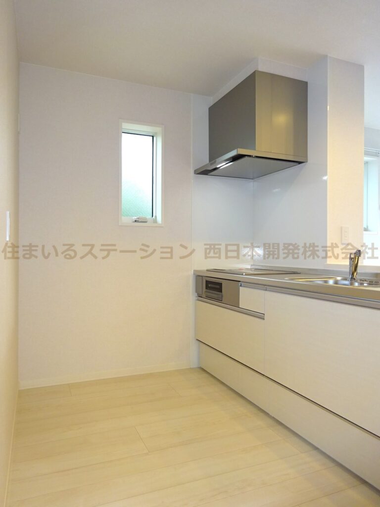 モデルン総社101_キッチン2