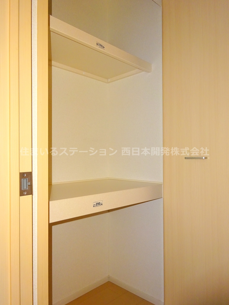 プラシードA101_DK収納