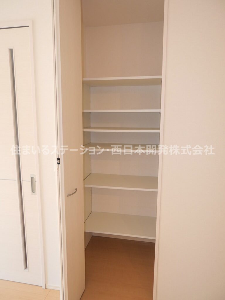 フォーチューン真壁C102_LDK収納