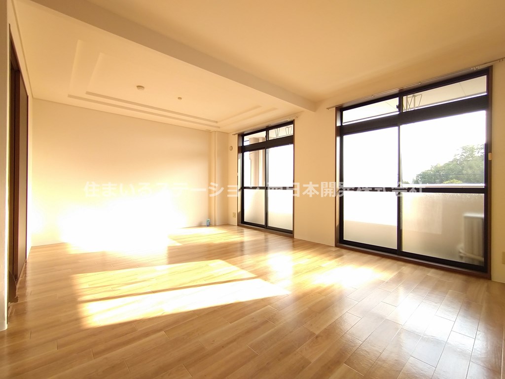 ロイヤルコーポサノ205_LDK4