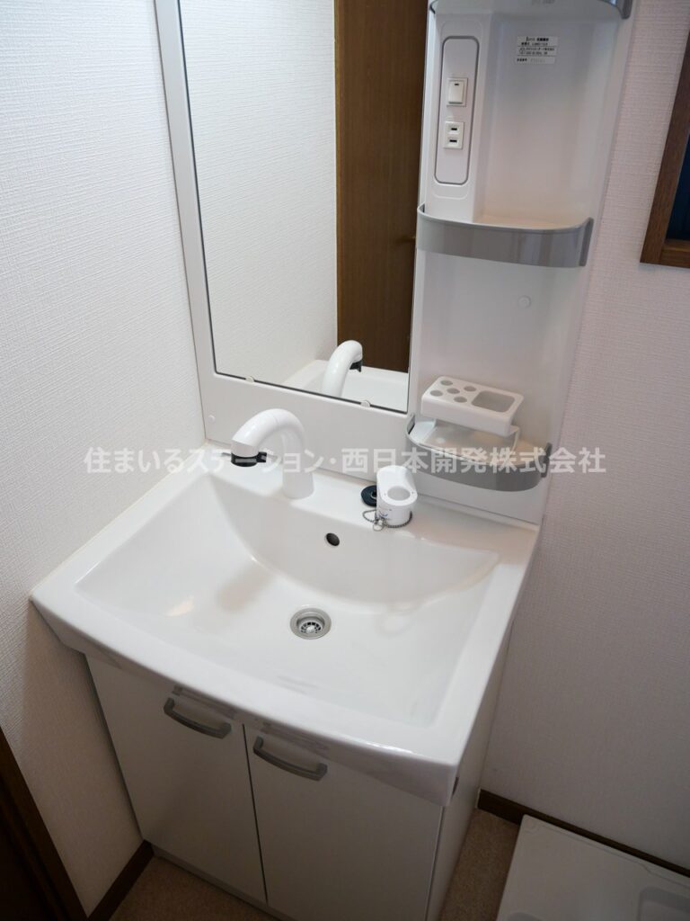 ラ・メゾン・ジョワイユーズ203_洗面化粧台