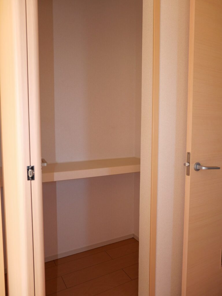 ベルソレイユA201_LDK収納