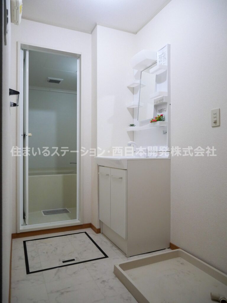 メゾンドセジュールB202_洗面脱衣所