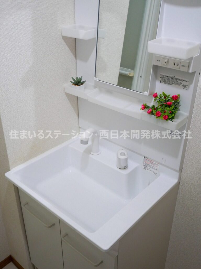 メゾンドセジュールB202_洗面