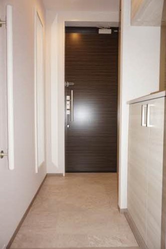 アンフェミュール203_玄関