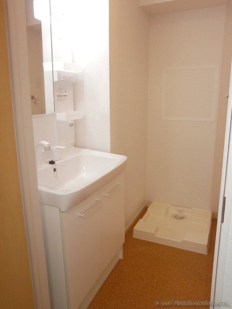 フラン総社303_洗面脱衣所