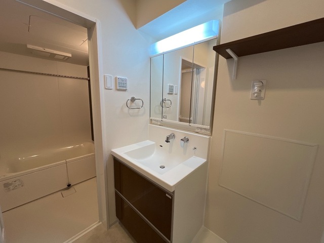 i:naテラスミズホ201_洗面化粧台