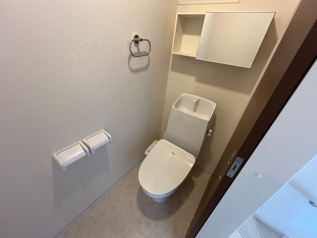 i:naテラスミズホ201_トイレ