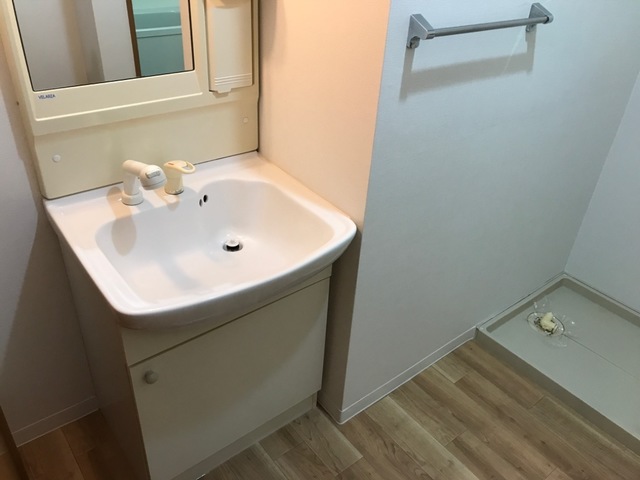 メイプルハウス205_洗面化粧台