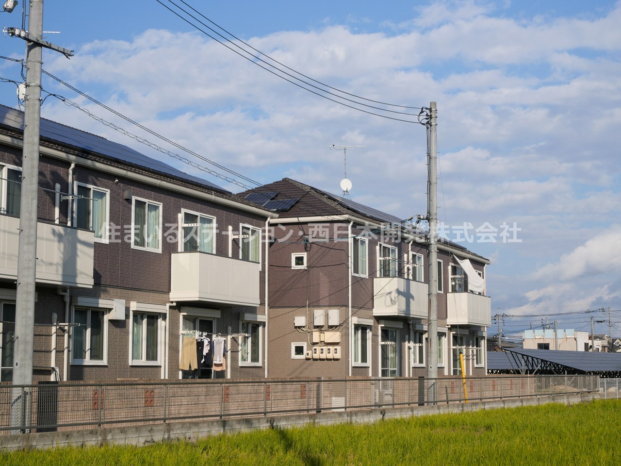 シャーメゾンきびじD_外観