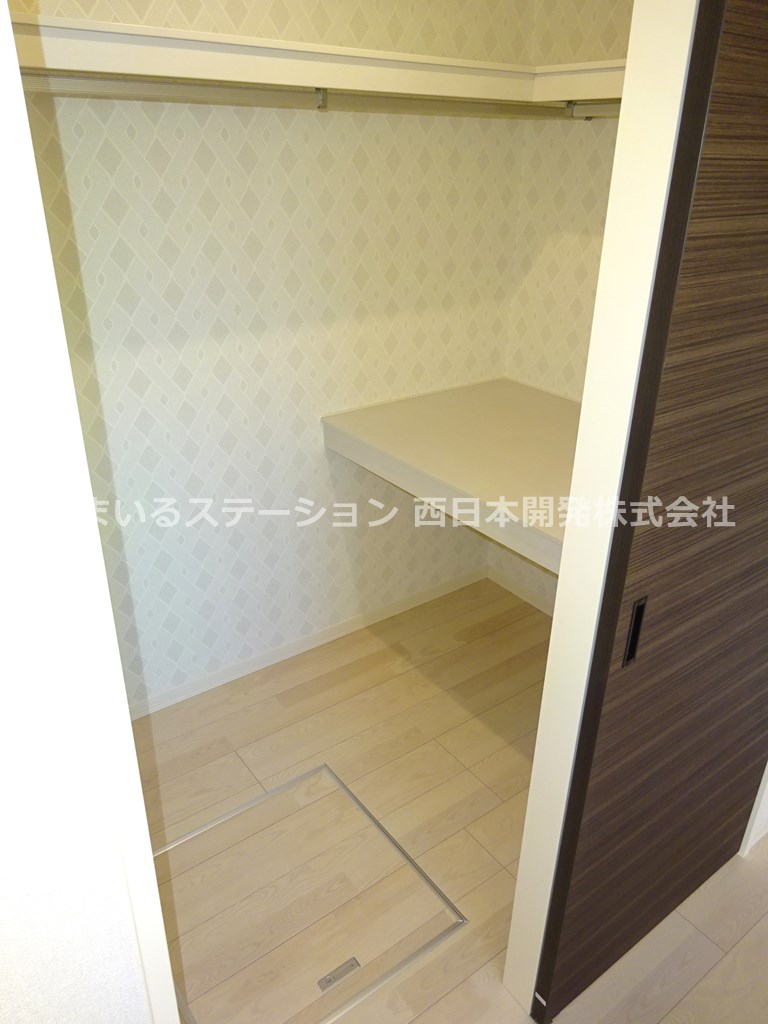 ハイアワサ101_洋室ウォークインクローゼット