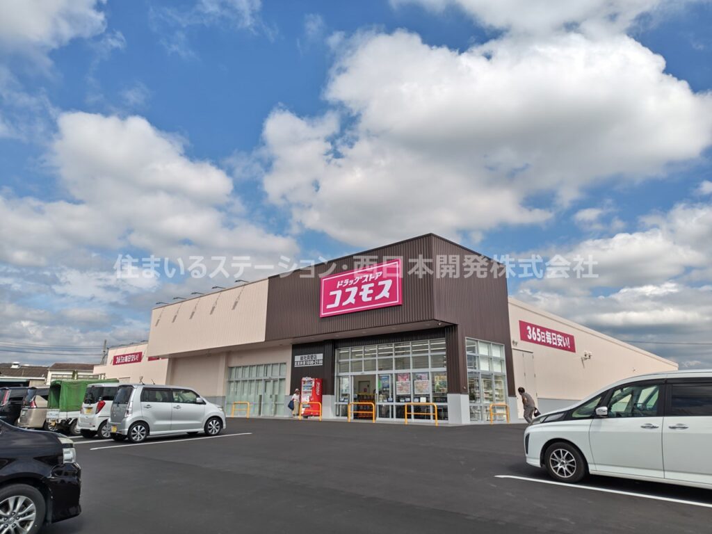 施設_ディスカウントドラッグコスモス真壁店
